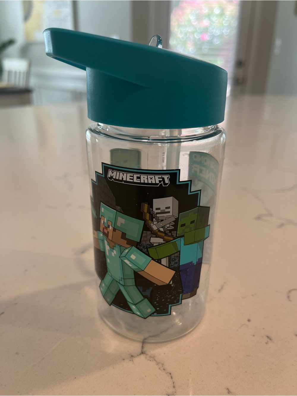 Minecraft Kids Water Bottle in Teal with Flip Spout